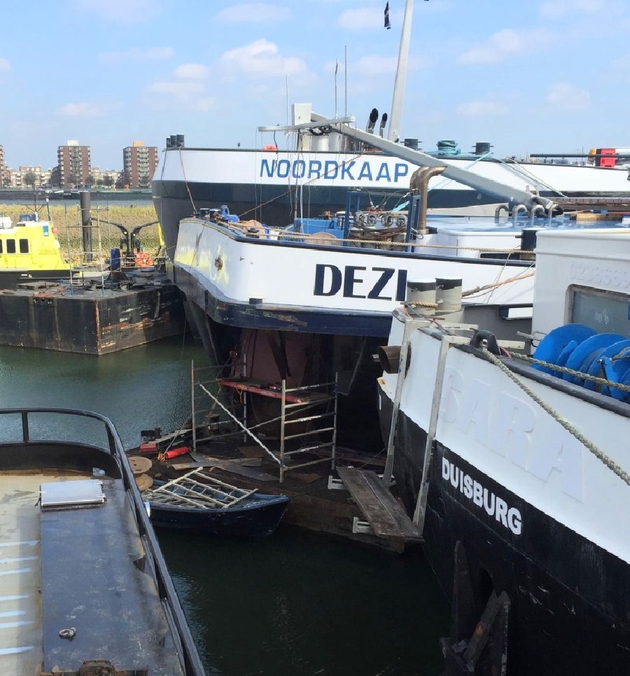 Reparatie kopschade Dezi